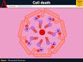 Cellular Pathology - Pyroptosis