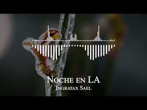 Ingratax Sael -  Noche en LA