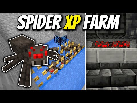 Insane Spider XP Farm! Unbelievable Tricks! 😱