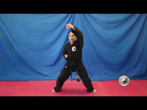 Kempo Karate - Eight Point Blocking System