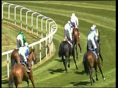 München-Riem, Preis der MIG Fonds, 12.8.2012 - Sieger: Shinko Danon