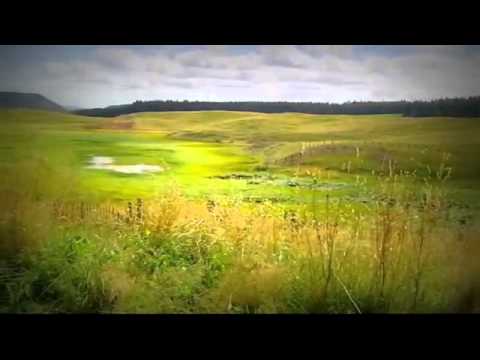 Pensiuni Satu Mare - Cazat.ro