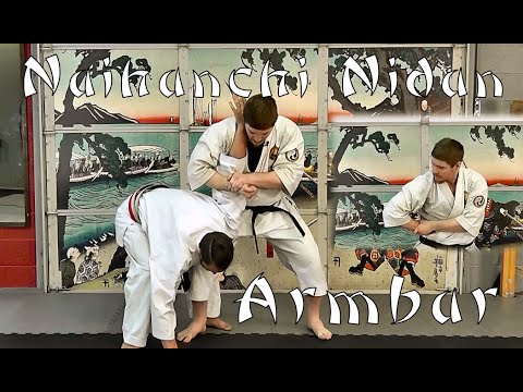Waza Wednesday 6/29/16 - Naihanchi Nidan Armbar from the Clinch