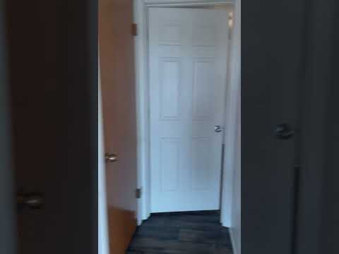 BG40-3 - Video 2 of 2