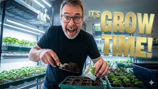 Second Planting Round | Indoor Seeds Taking Off