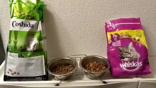 Lidl Coshida vs Whiskas Cat food