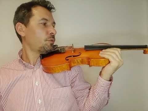 4. Cum se tine vioara la gat