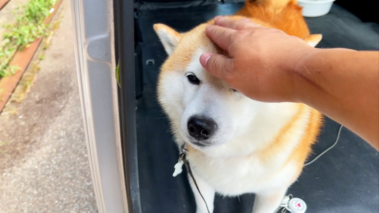 さきほどの動画の0:46～。おわかりいただけただろうか？