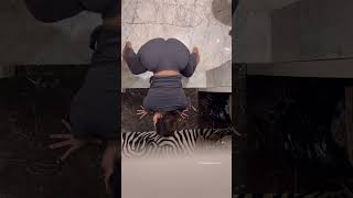 Aditi Mistry Twerk Watch HD Mp4 Video Download Free