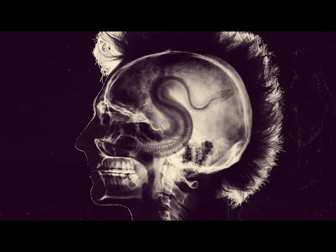 How to Match Colors Automatically in Photoshop