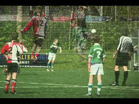 zeerobben D1-broeksterwalden D1