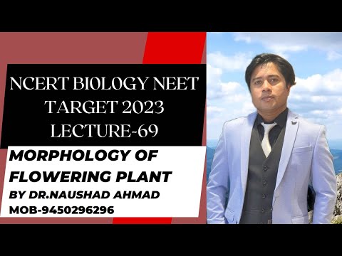 69 BIOLOGY TOPIC  MORPHOLOGY OF FLOWERING PLANT PART 02720P HD