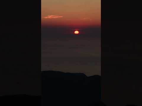 Sunset Pino Corsica