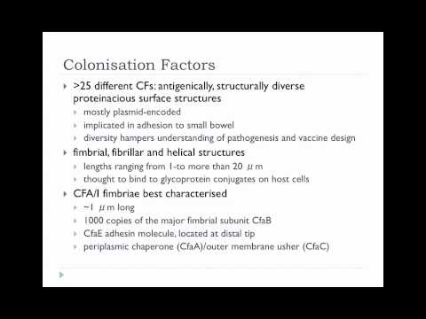 Bio305 2012 E Coli Lecture 1