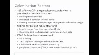 Bio305 2012  E. coli Lecture 1