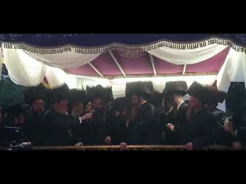 Wedding Of The Youngest Son Of The Sadigura Rebbe Zt"l - Sivan 5782