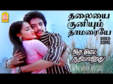 Thalayai Kuniyum Thamaraye - Video Song | Oru Odai Nathiyagirathu | Raghuvaran | Ilaiyaraaja