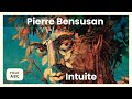 Pierre Bensusan - Intuite (Full Album)