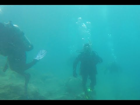 Tobermory - The Tugs - Scuba Noise maker