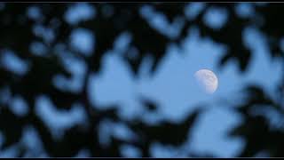 Download lagu Surah Al-Kahf (58-65) Raad Mohammad Al Kurdi mp3