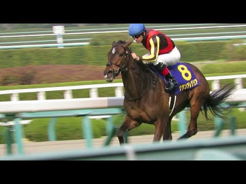 H31.04.0 7　GⅠ桜花賞　優勝馬：グランアレグリア 　阪神競馬場