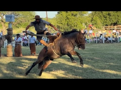 Paysandú Jineteadas 24* Copla y el Corcovo 2026 Rueda Crin