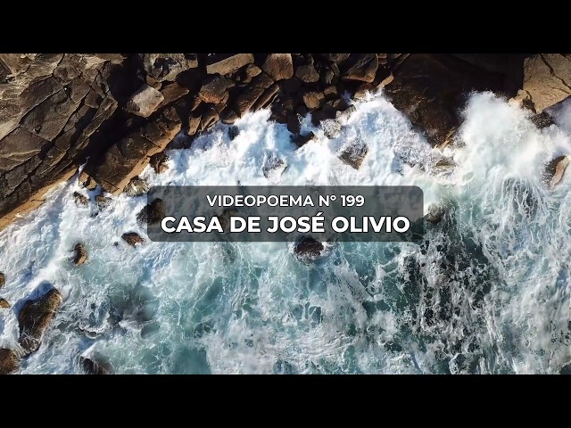 Vídeo relacionado con Diez años decisivos en la poesía española contemporánea, 1960-1970 (Manuales Universitarios)
