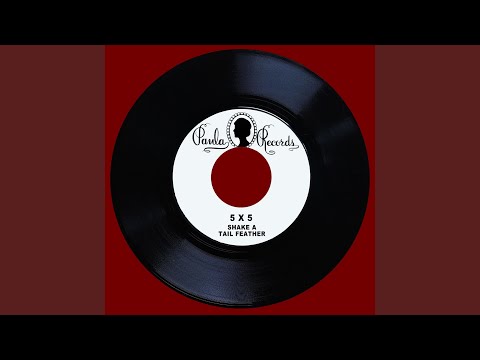 Shake a Tail Feather