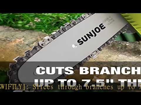 Sun Joe 24V-PS8CMAX-LTE 24-Volt iON+ Cordless Saw Kit, 8-Inch, Telescopic Pole, W/Bonus Spare Chain