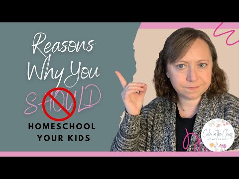 Reasons Why You Should NOT Homeschool Your Child | When Homeschooling May NOT Be the Best Option