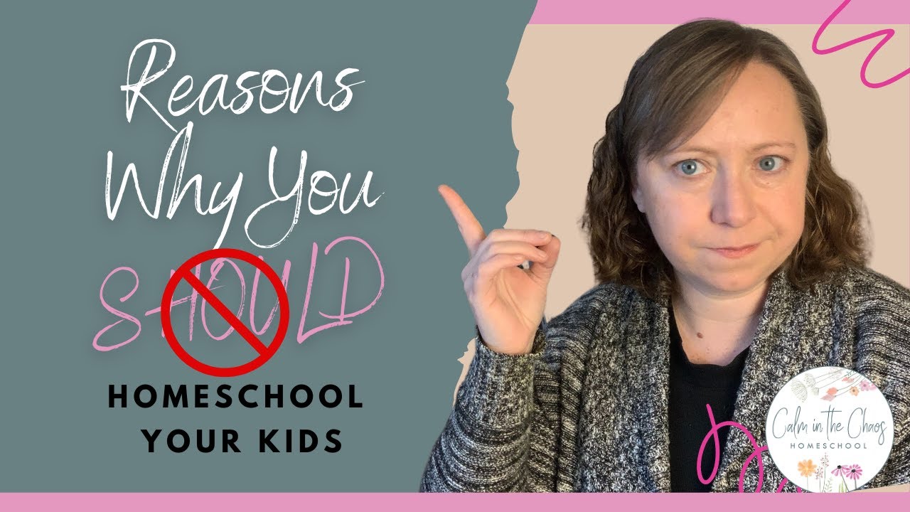Reasons Why You Should NOT Homeschool Your Child | When Homeschooling May NOT Be the Best Option