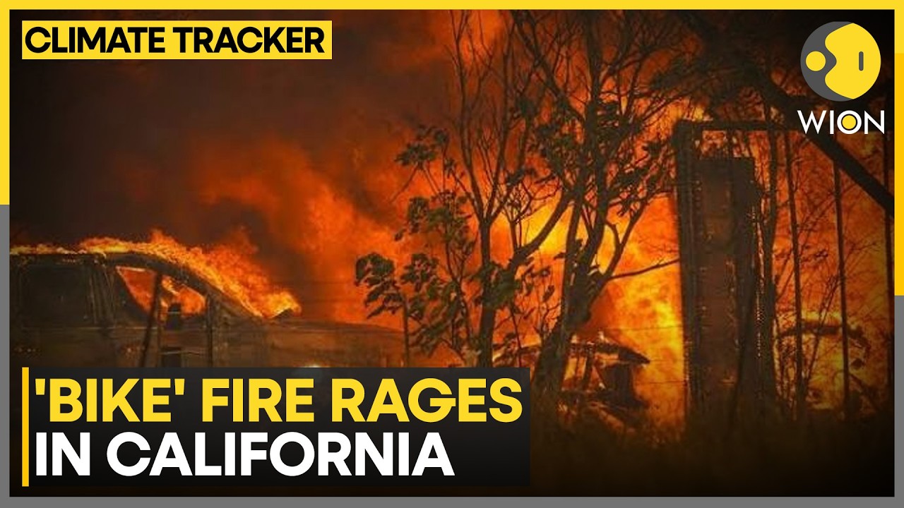 Bike Fire Burns 172 Acres In California, Evacuation Alert Issued As Wildfire Spreads | WION News