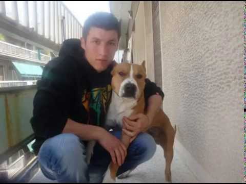 Mandi-Dikush Ma Ka Inatin 2014