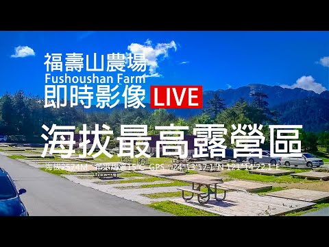 福壽山農場最高海拔露營區即時影像
