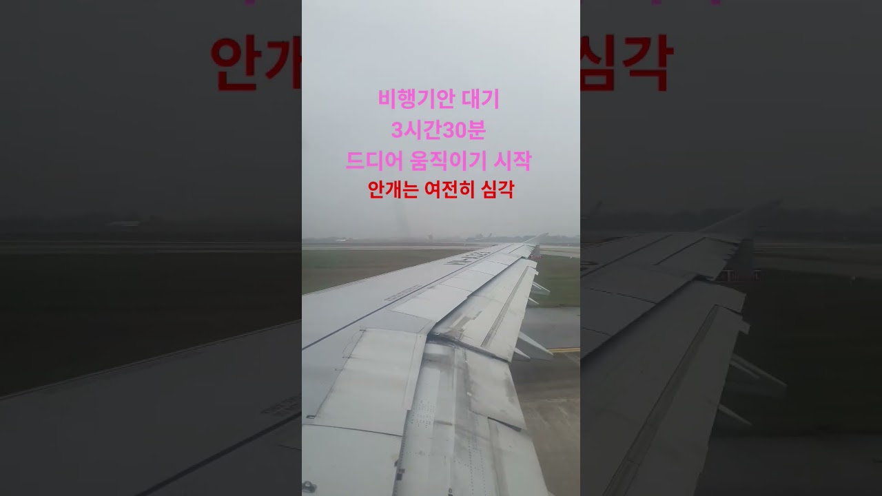 #베트남#하노이#노이바이공항#천재지변#기상악화#이륙대기#활주로#비행기#안개#박서진#지나야#움직이기 시작