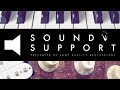 Sound Support feat. Black Birds of Paradise ...