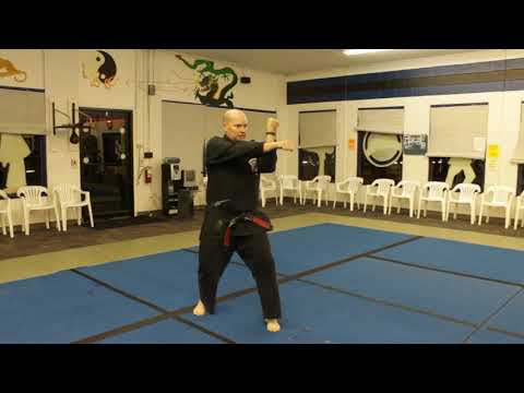 Kenpo Short Form 2