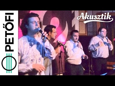 Bolyki Brothers - We Have The Music (Petőfi Rádió Akusztik)