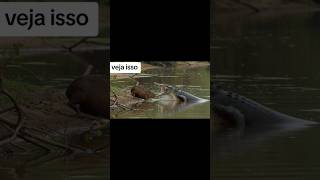 que ataque dói esse meu Deus #ahorts