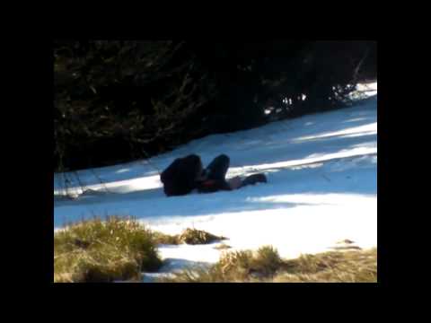 Kozelagazeladozela - Radegastovi poutnici 7