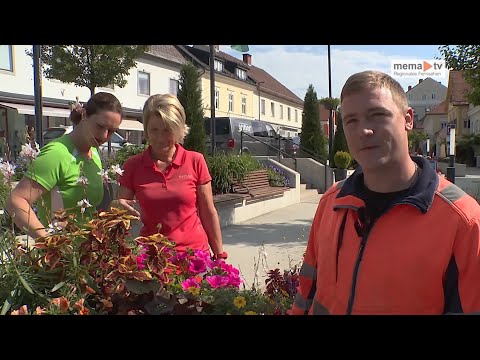 MEMA TV NEWS - Was bringt der Sommer 2023 in Kindberg