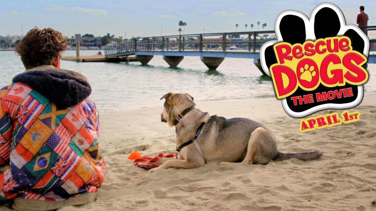 Rescue Dogs