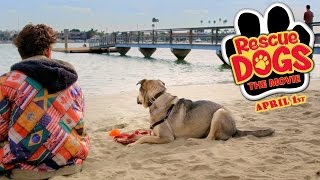 RESCUE DOGS - Official Trailer