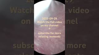 Relaxing Ear Cleaning ASMR | Deep Sleep, No Talking 2025-09-29 #asmr #deepsleep