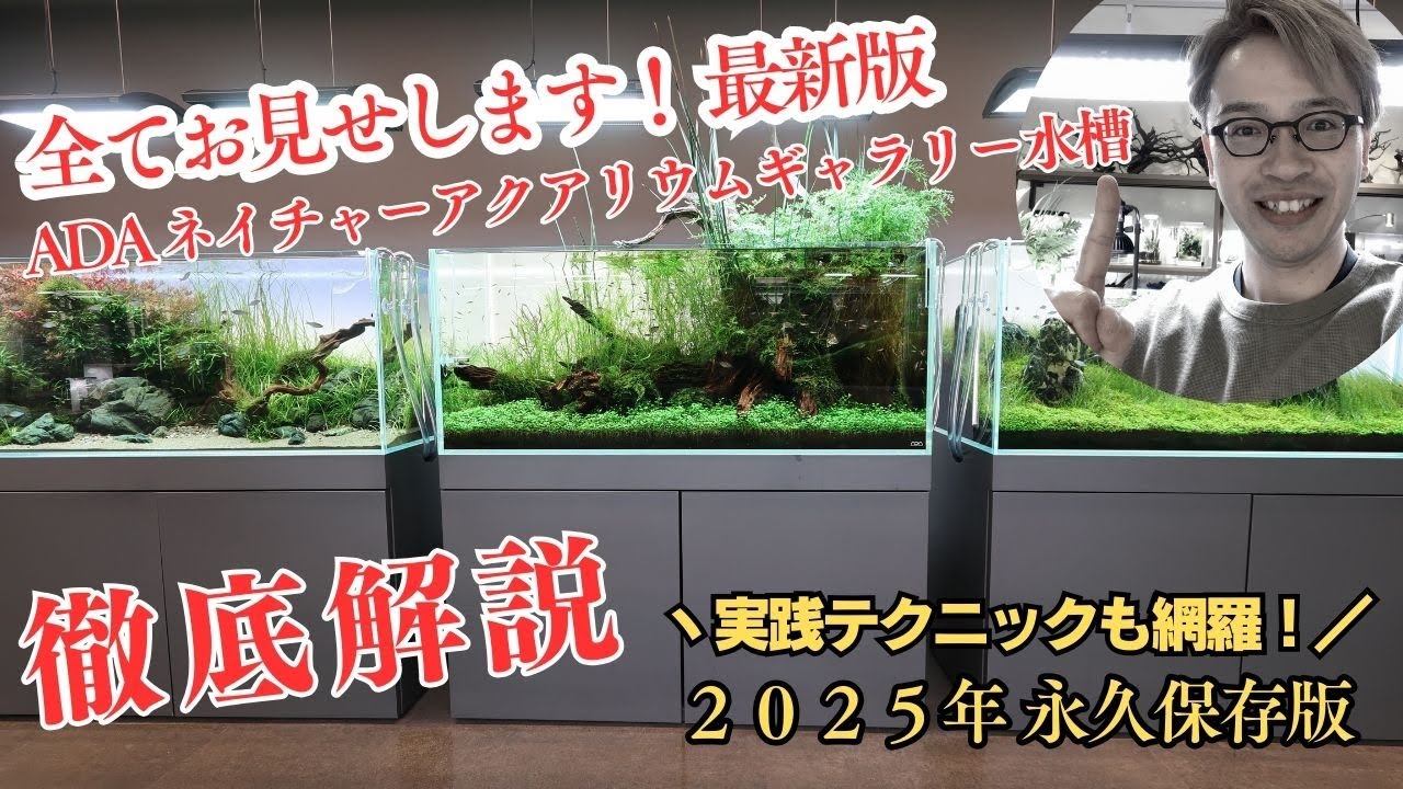 全水槽お見せします！世界最高峰の水草水槽を徹底解説！２０２５年 最新保存版！ＡＤＡネイチャーアクアリウムギャラリー水草水槽、ＩＡＰＬＣ世界水草レイアウトコンテスト２０２５、立ち上げ方法、作り方、構図