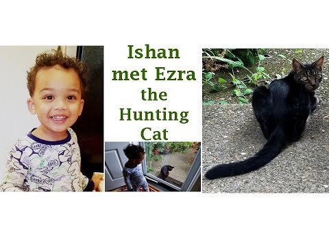 Ishan met Ezra The Hunting cat