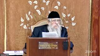 הרה"ג הרב וועכטר שליט"א כ"ח כסלו תשפ"ו - מאמר הרבי הריי"צ תש"ח ד"ה ויחלם והנה סלם מצב ארצה (הרב אברהם מנחם מענדל וכטר) - התמונה מוצגת ישירות מתוך אתר האינטרנט יוטיוב. זכויות היוצרים בתמונה שייכות ליוצרה. קישור קרדיט למקור התוכן נמצא בתוך דף הסרטון