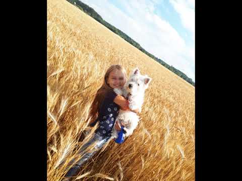 Hanna Lasota - Co Się Śni Niewidomym (cover)