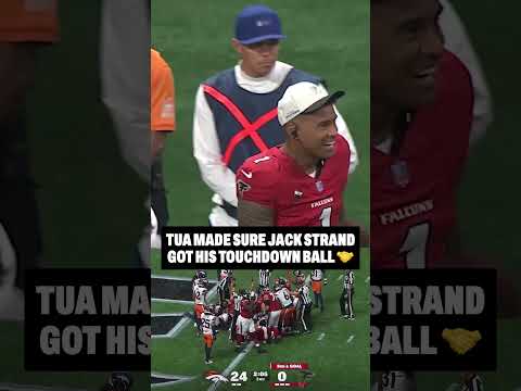 Atlanta Falcons video artwork