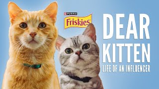 Dear Kitten: Day In The Life Of An Influencer // Presented By Friskies & BuzzFeed